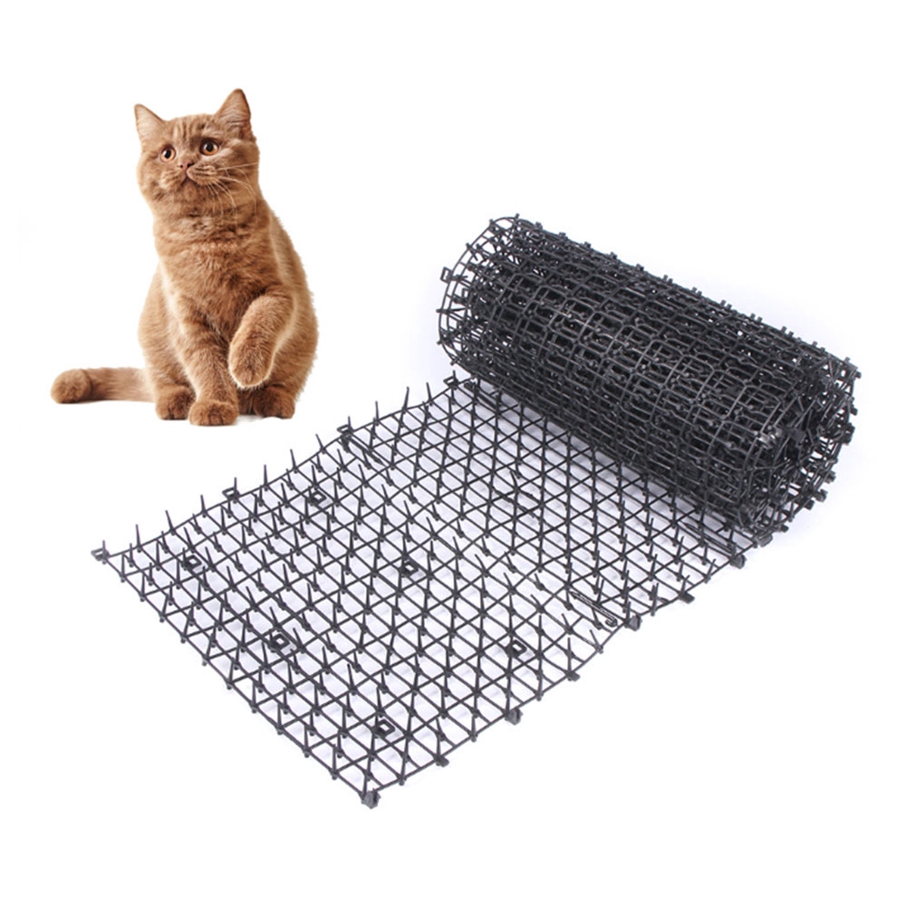 plastic spikes to deter cats