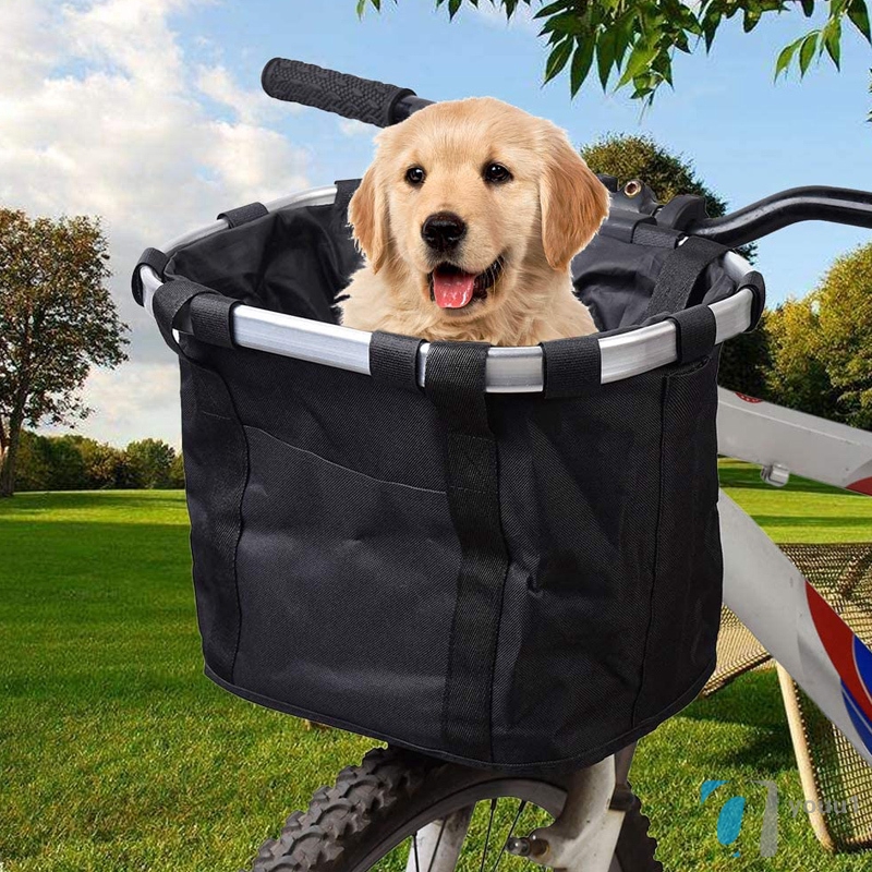 dog basket for bike