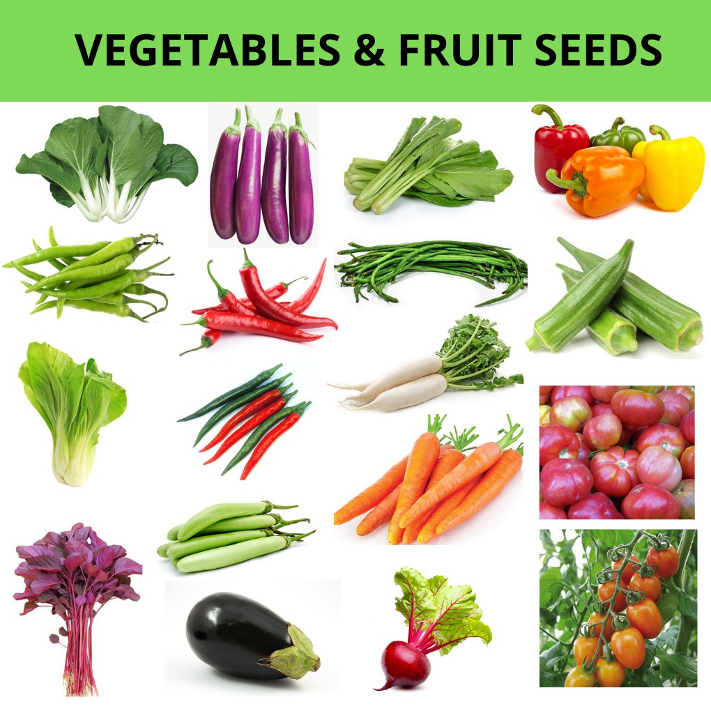 Vegetables and Fruit seeds 2nd Batch Shopee Philippines