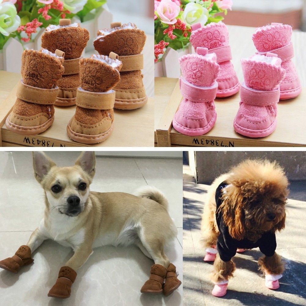 cute dog shoes