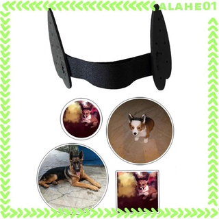 [alahe] Dog Ear Stand up Support Ear Care Tools Ear Sticker Erect Ear for Small Medium Large #7