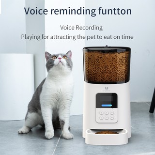 7 day cat feeder