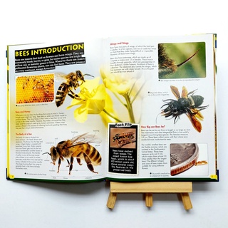 Wonders of Learning Discover Bees