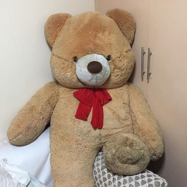 blue magic life size teddy bear price