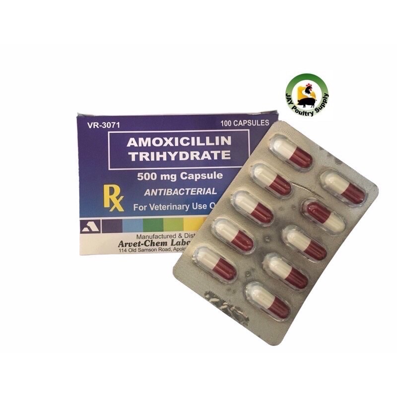 Arvet Amoxicillin Trihydrate 500mg Sold 10capsules Shopee Philippines