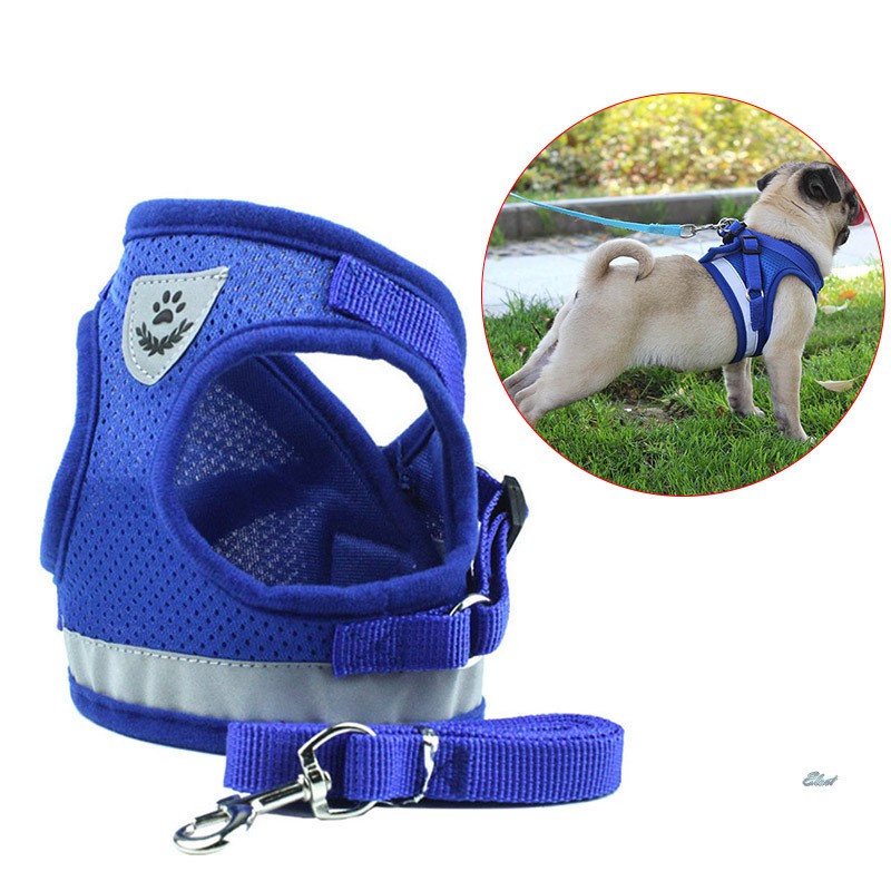 dog collar harness and leash set