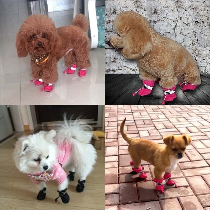 toy dog booties