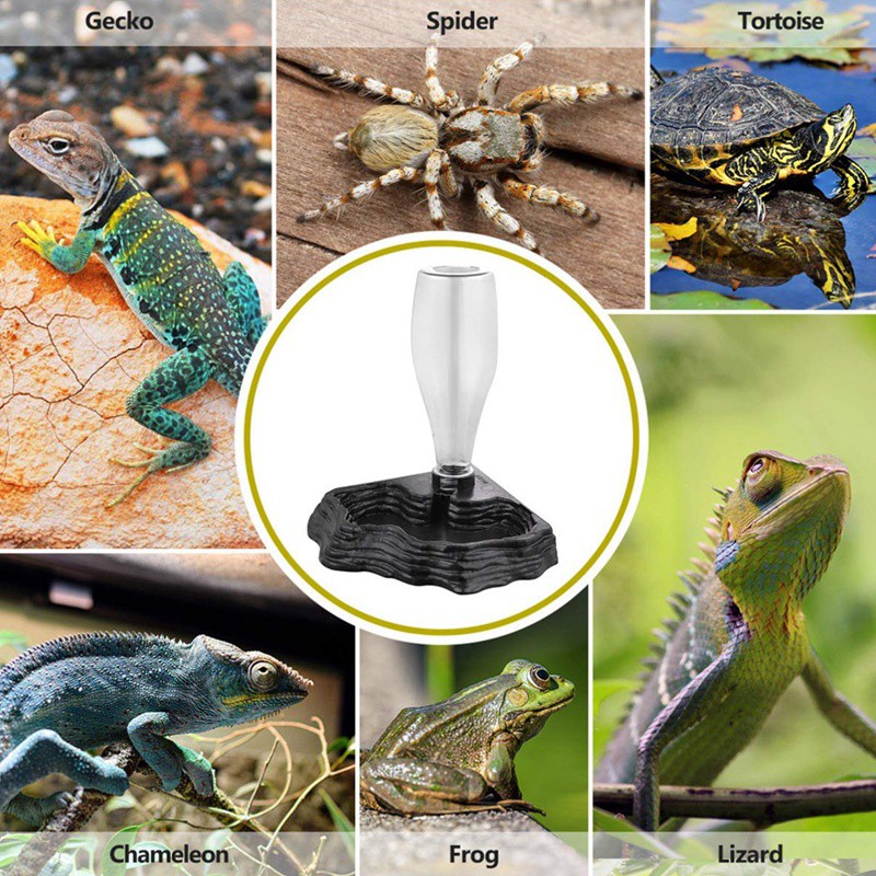 reptile water dispenser