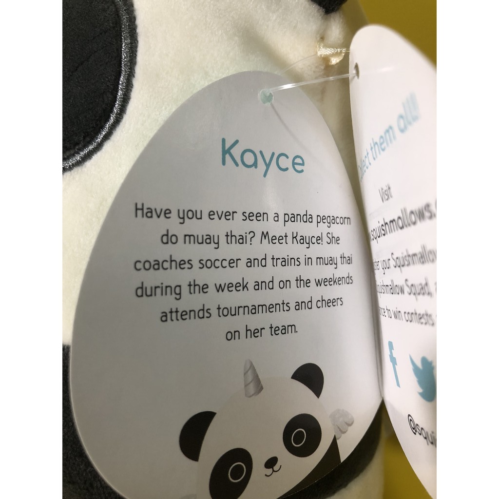 kayce the panda pegacorn