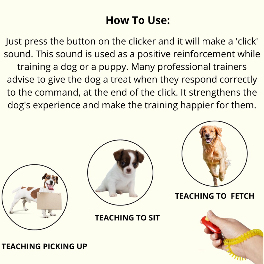 How To Use A Dog Clicker Correctly