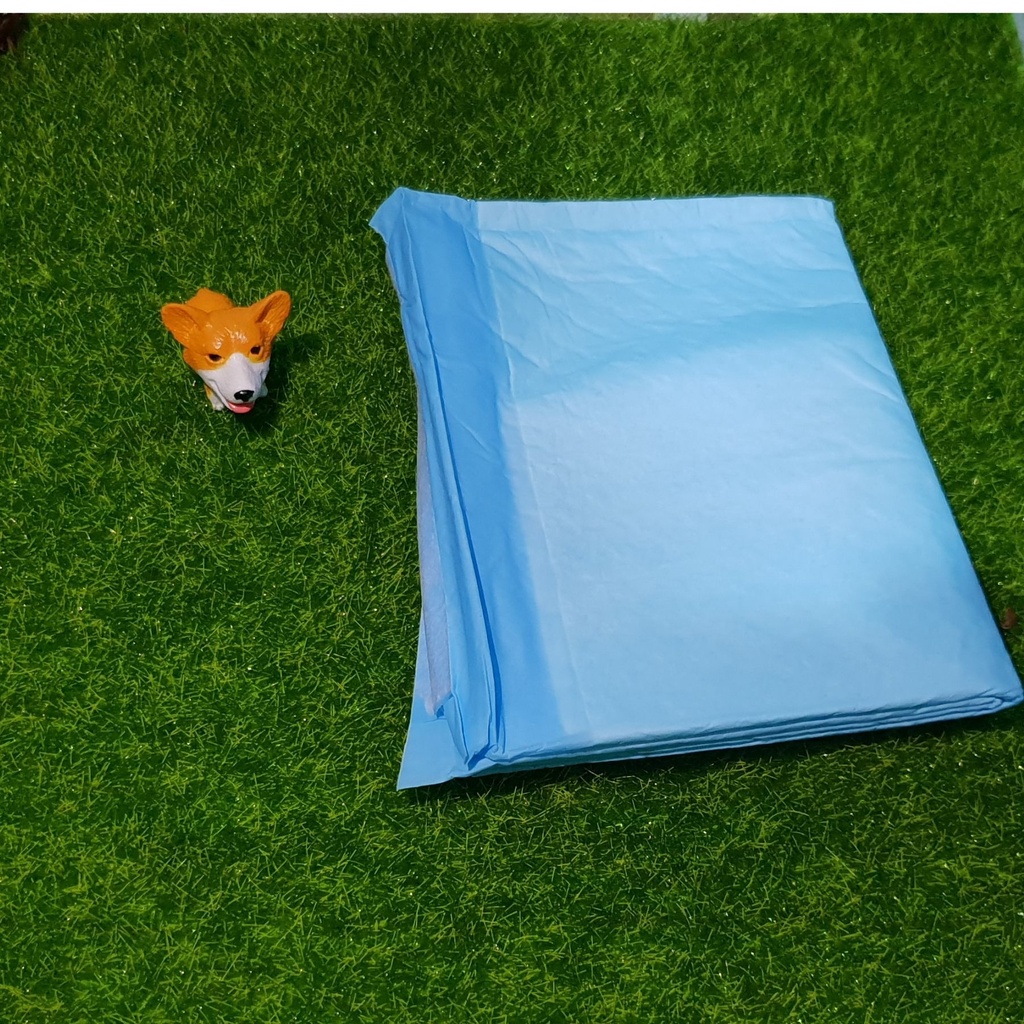 pet-pee-pad-dog-pee-training-pad-cat-pee-pad-pet-wee-pee-poop-training