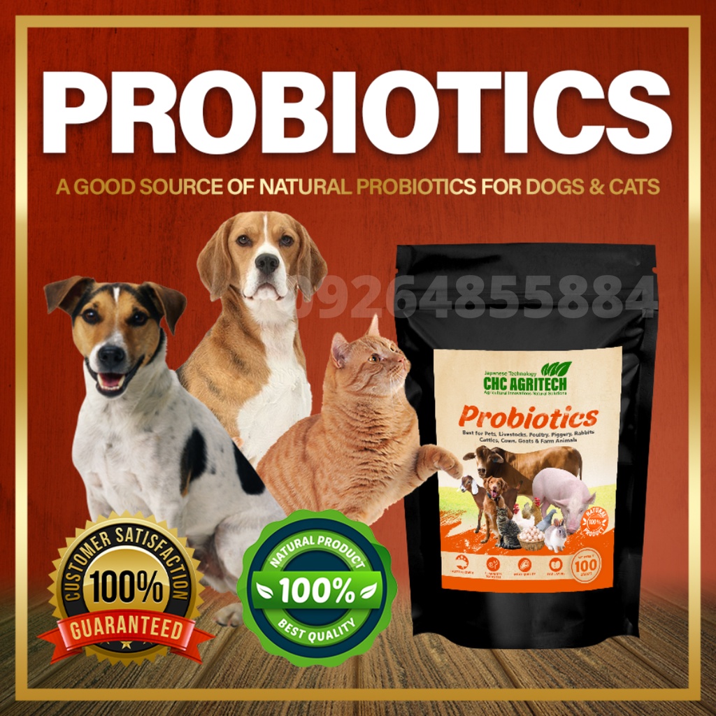CHC Agritech Probiotics 100g Best Organic Supplements for Animals