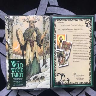 Wild Wood Tarot English Mysterious Animal Playing Cards Game Shopee Philippines