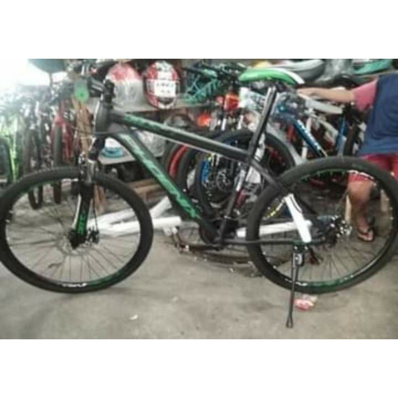 phoenix mountain bike