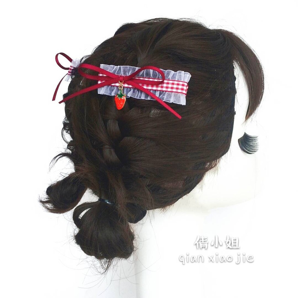 hair clip with net