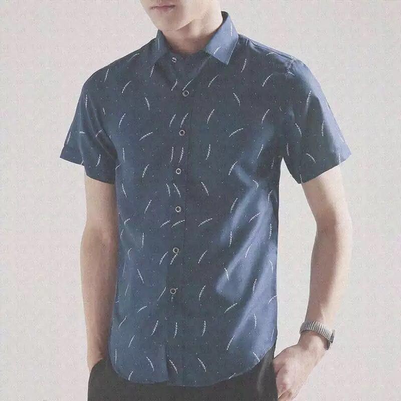 korean polo shirt