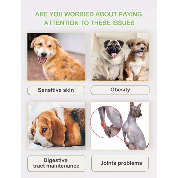 WHOOPEE DOG FOOD PUPPY ( 1KG ) DRY Pet Diet Paw Puppy Coat Health Fur