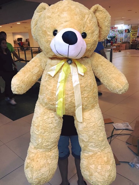 teddy bear shopee