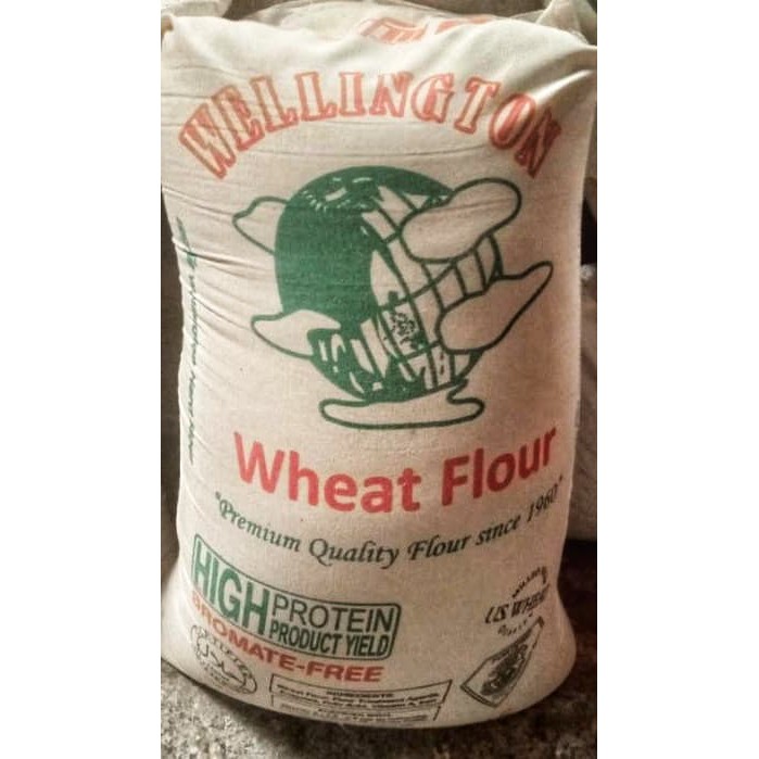 Wellington bread flour / hard flour / 1st class flour by 1kg Shopee