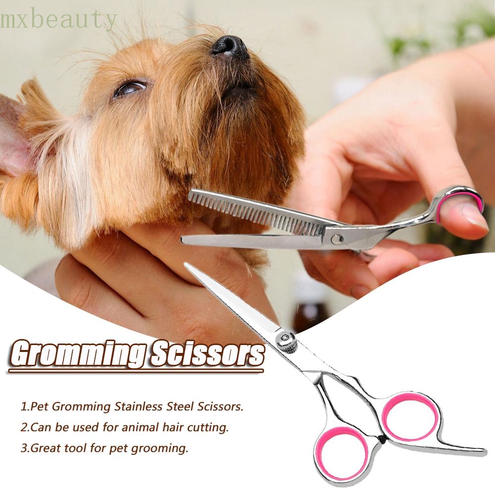 What Are Straight Scissors Used For In Dog Grooming