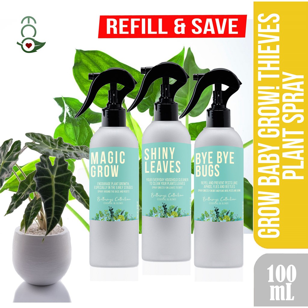 Grow Baby Grow! Thieves Plant Spray Made with Premium Essential Oils ...