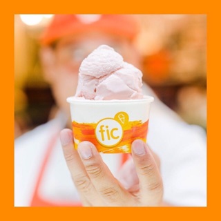 fruit ice cream no sugar added
