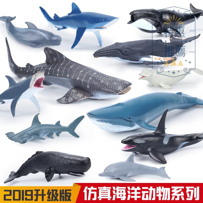 toy sharks and whales