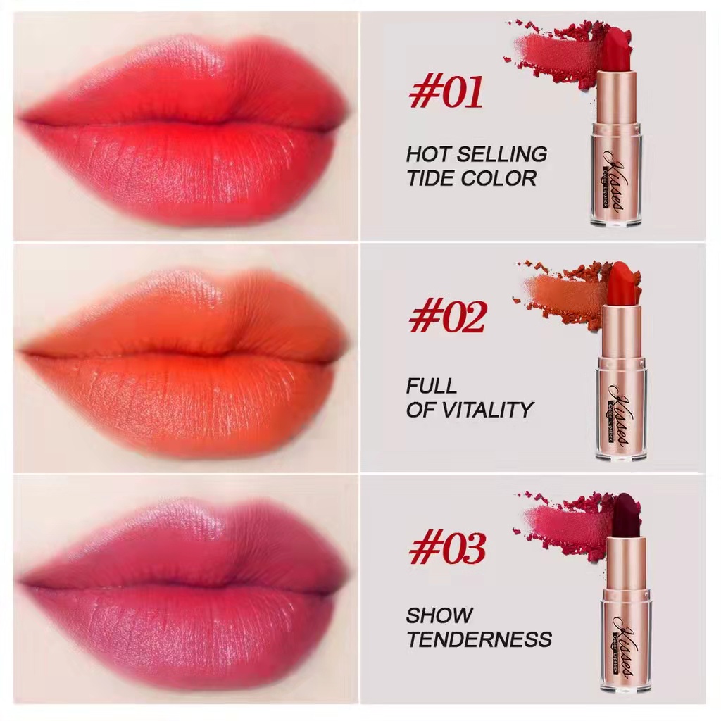 Ashley Shine Lipstick Light Matte Lip Cheek Tint Lip Gloss Color ...