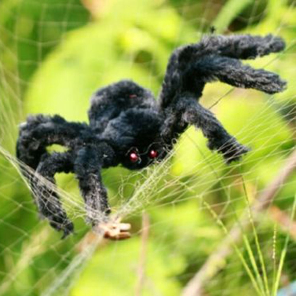 giant spider decoration on house