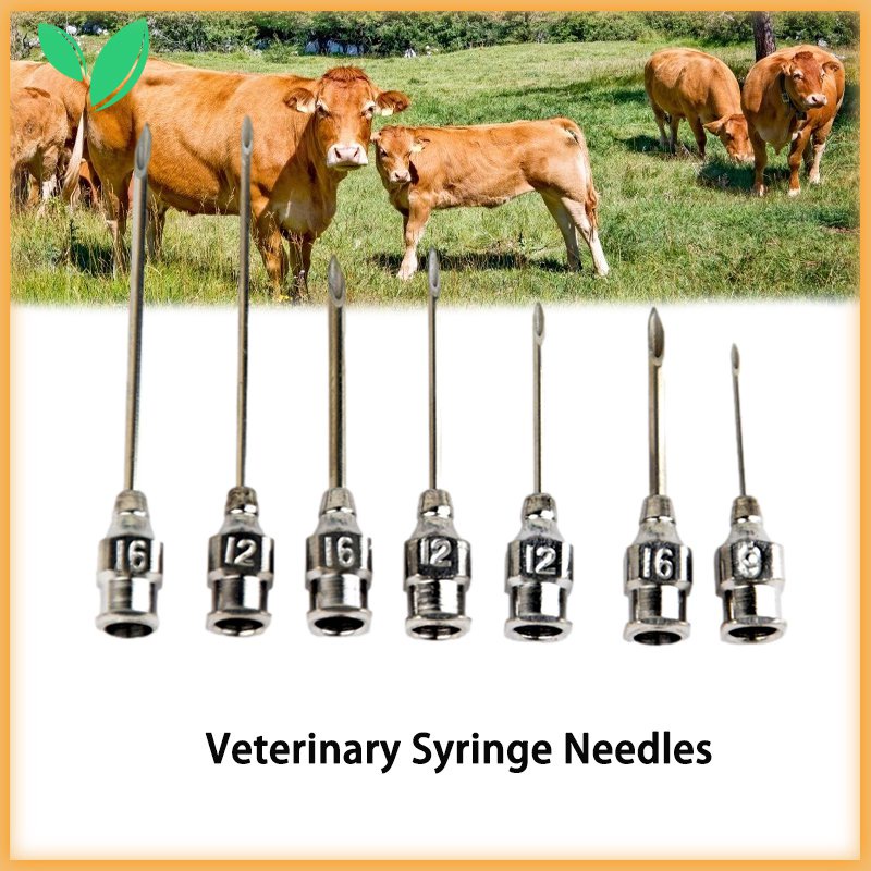 10Pcs Multiple Sizes Available Veterinary Needles Stainless Steel Injector Needles for Pig
