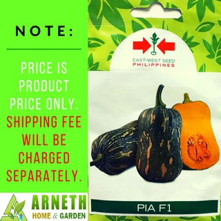 SQUASH PIA F1 SEEDS BY EASTWEST GARDEN PACK #2