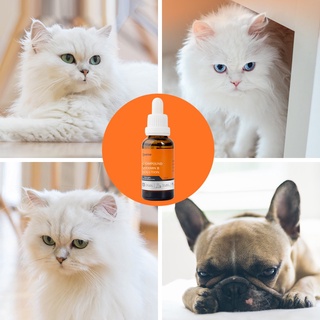 PUAINTA 30ml Vitamin B Complex Solution For Pet Eye Protection Promotes Fur Growth Wound Healing Oral Mucosa Repair Vitamins Dog & Cats #6