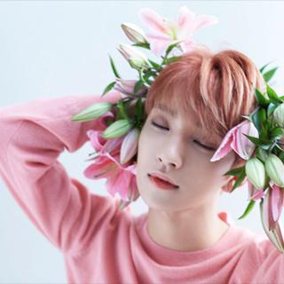 Joshua Jisoo Hong Seventeen Shopee Philippines