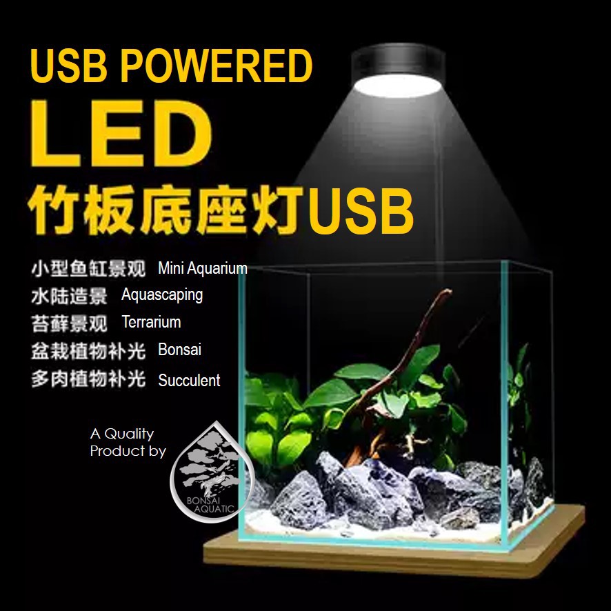 (SG READY)USB Powered LED Light Stand with Wooden Base for Succulent Display, Wabi Kusa, Terrarium,  #1