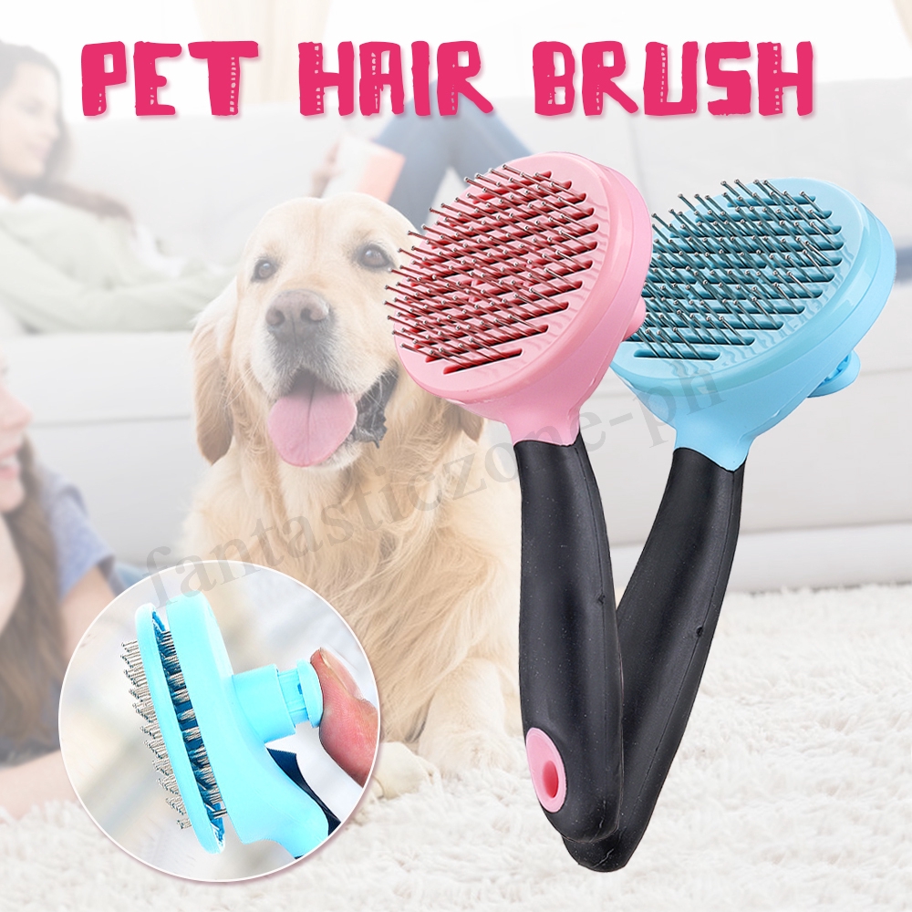 dog brush to reduce shedding
