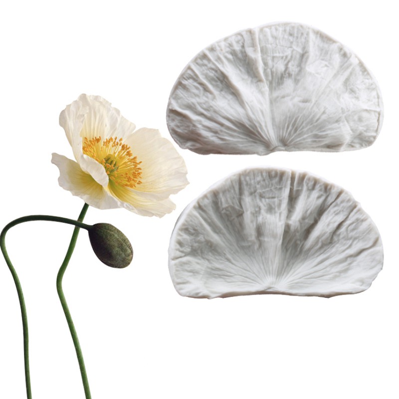 poppy petals Best Prices and Online Promos Jan 2023 Shopee