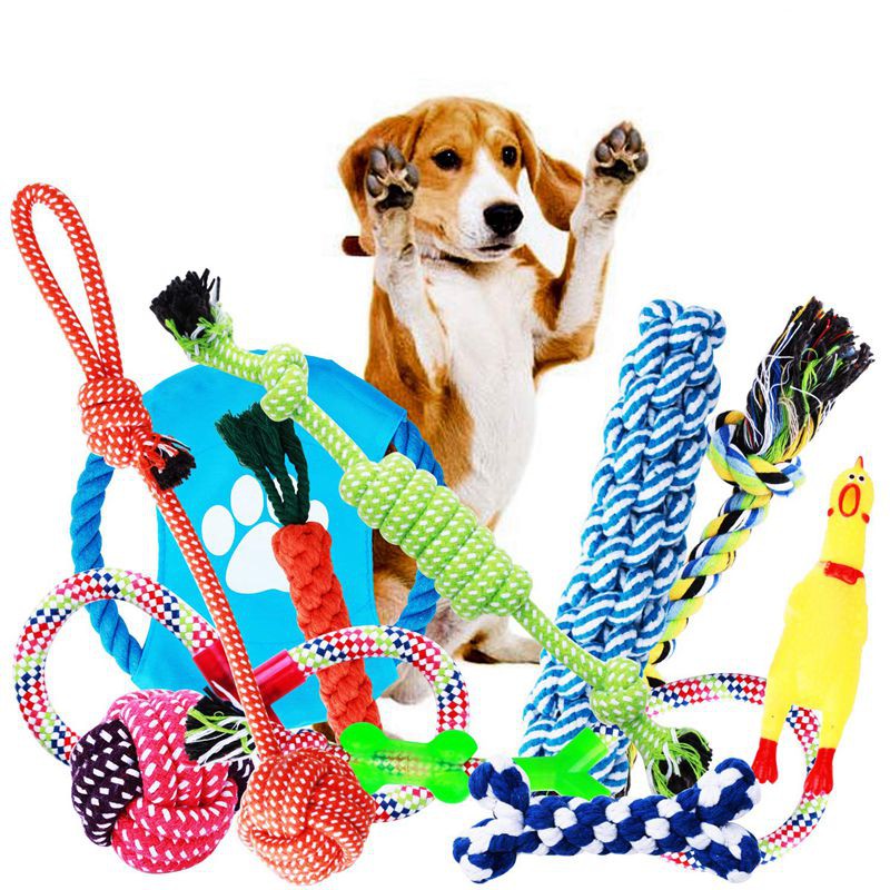pet toys for puppies
