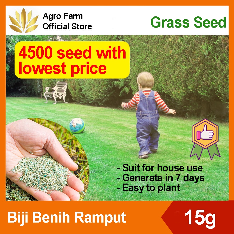 Bermuda Grass Seed / Carpet Grass Seed / Biji Benih Rumput / Rumput
