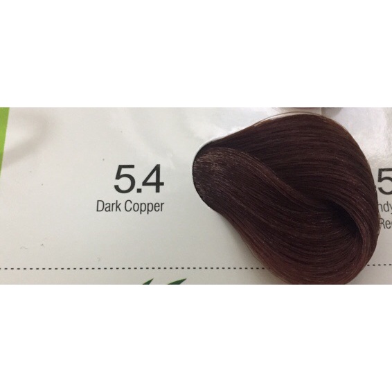BREMOD HAIR COLOR DARK COPPER 5.4 Shopee Philippines