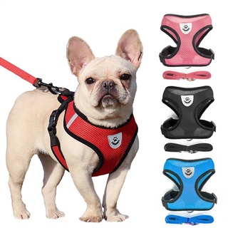 Dog leash with harness dog leash and collar leash for dog puppy leash for puppy leash and collar COD