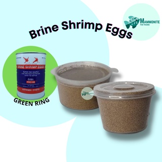 BBS Brine Shrimp Eggs (O.S.I Red Jungle Brand) Up to 90% Hatch Rate Hatchable Food