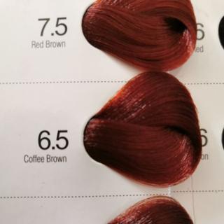 Bremod Hair Color Cream 6 4medium Copper 0 22violet Shopee