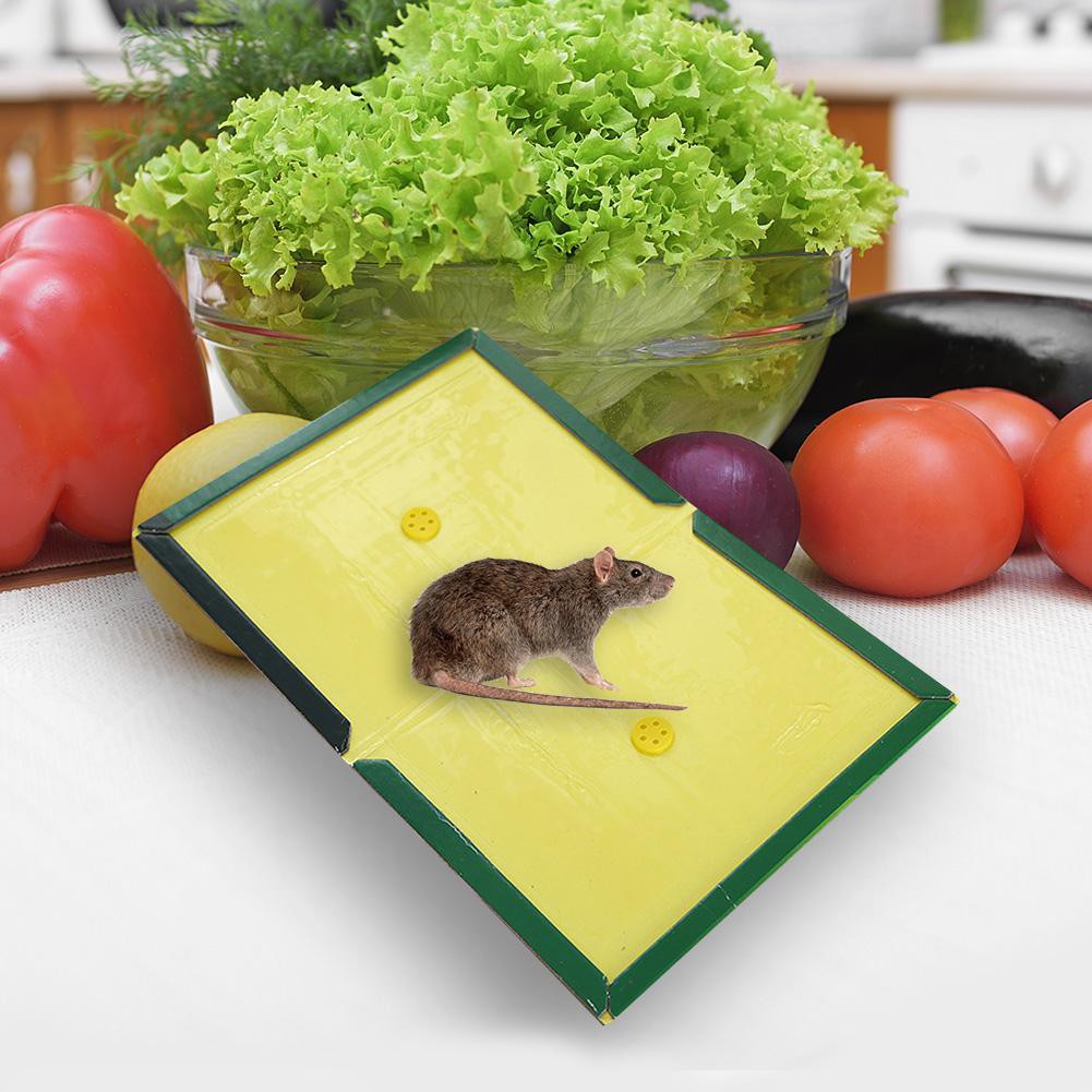 Super Strong Sticky Mice Traps Mouse Glue Boards Rat Glue Pad Mouse ...