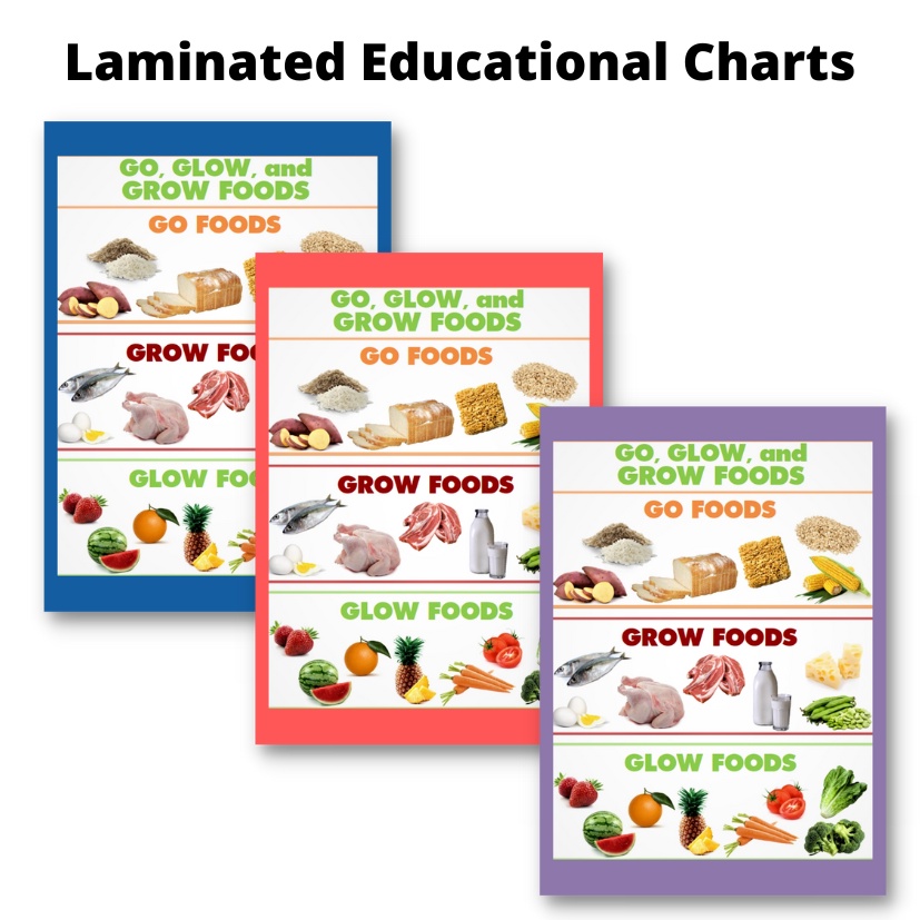 Go, Glow, Grow Foods, Laminated Educational Charts for Kids and ...