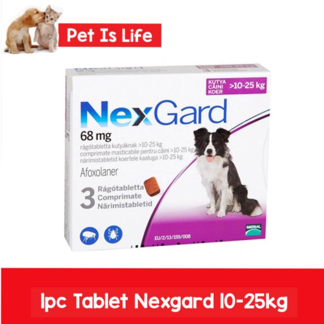 nexgard 1 month