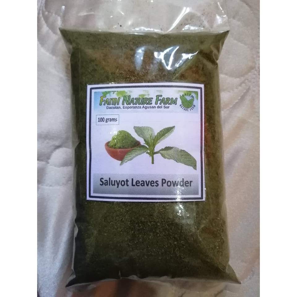 saluyot-s-dark-green-leaves-nutritious-philippine-vegetable