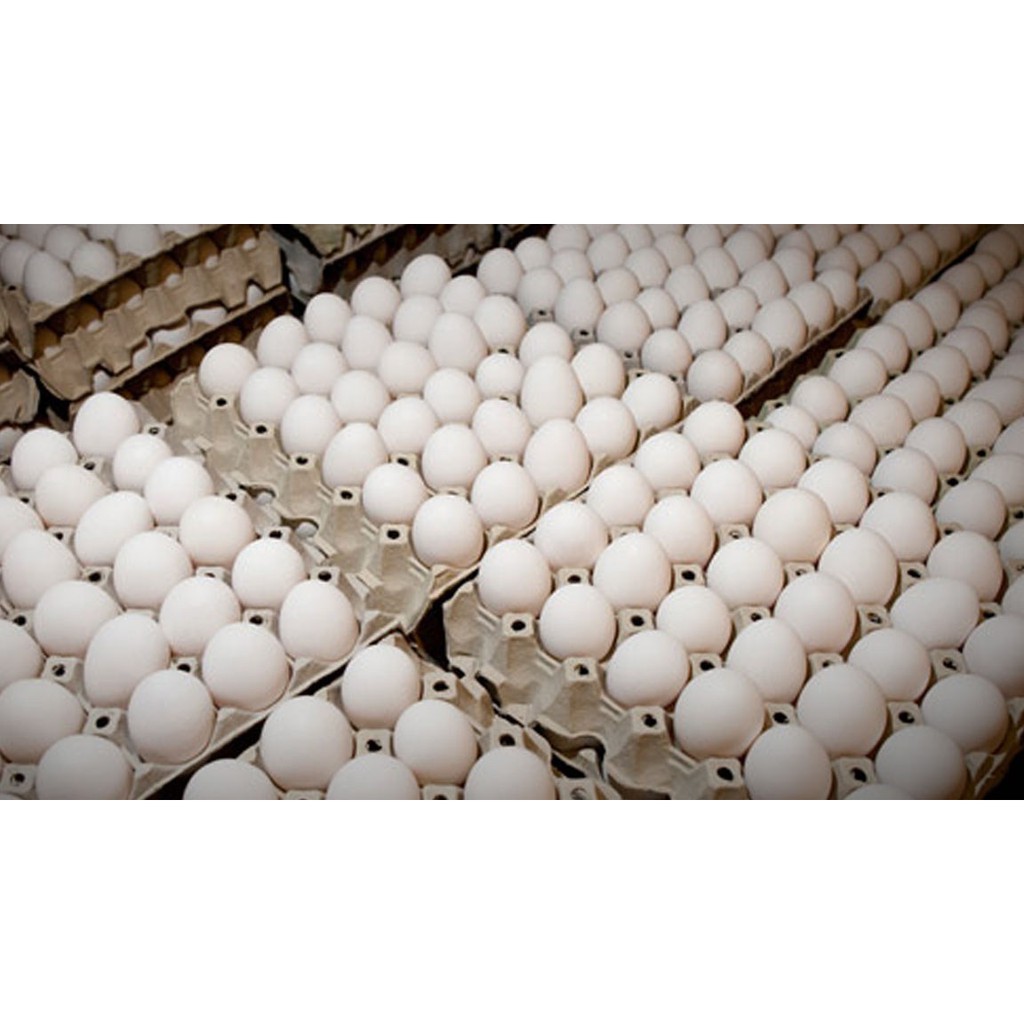 Farm Egg 30pcs With Tray Shopee Philippines