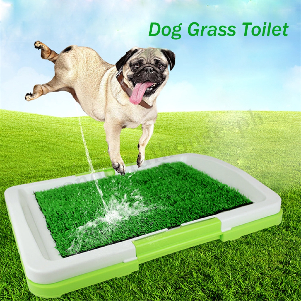 potty training grass mat