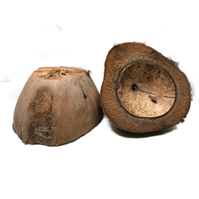 COD BUNOT / BUNOT / COCONUT HUSK | Shopee Philippines