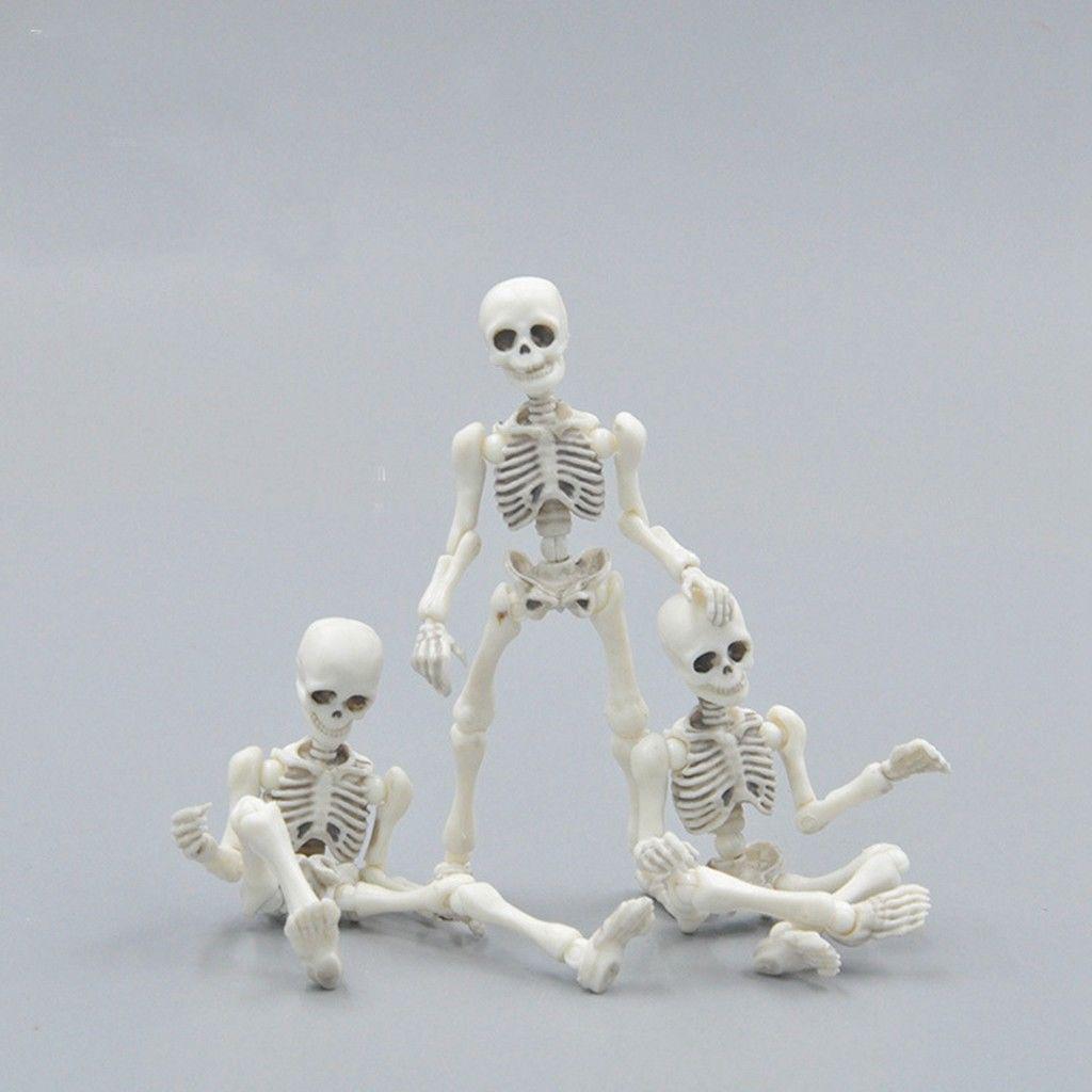 Skull Toy Pose Skeleton Human Body Flexible Action Figure Shopee